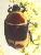 klicken Sie hier f�r gr��ere Version (7 kb)