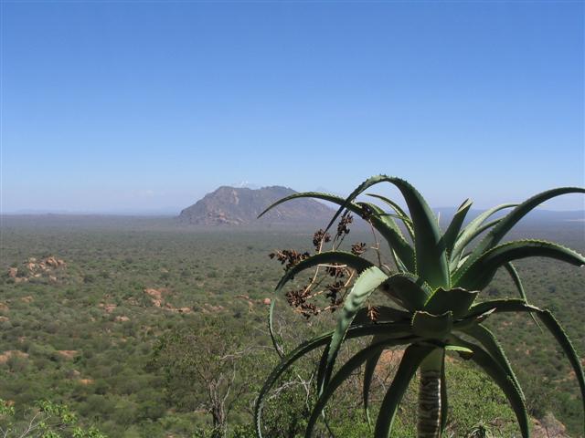 Lossogonoi Blick nach Norden